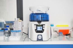Cayman Chemical Precelys EvolutIon StarTR 1ea
