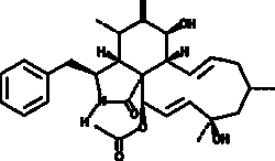 Cayman Chemical CytochalasIn H 1mg