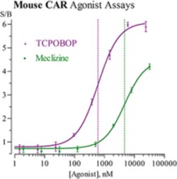 Cayman Chemical&nbsp;Mouse ConstItutIve ndrostn