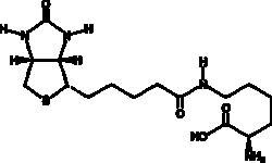 Cayman Chemical&nbsp;ANTIBODY BIocytIn 10mg