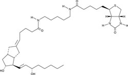 Cayman Chemical&nbsp;CarbaprostacyclIn-bIotIn 100ug