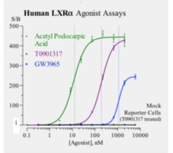 Cayman Chemical&nbsp;Humn LIver X ReceptrAlpha 96