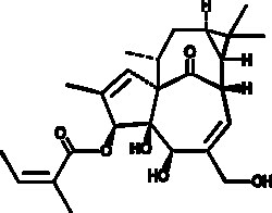 Cayman Chemical&nbsp;ngenol-3-ngelate 10mg