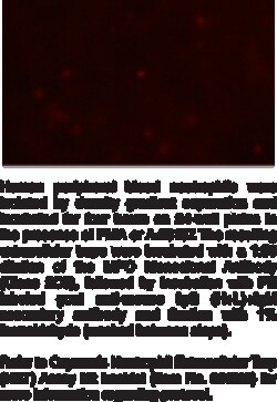 Cayman Chemical&nbsp;MyeloperoxIdase MoncLNal n 1ea