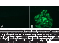 Cayman Chemical&nbsp;JARID1BPLU1C-Term Polyclo 1ea
