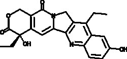 Cayman Chemical&nbsp;ANTIBODY SN-38 50mg