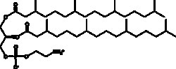 Cayman Chemical&nbsp;1 2DIphytnoylsnglycero3 10mg