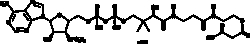Cayman Chemical&nbsp;MaLNyl Coenzyme AlIthIM25mg