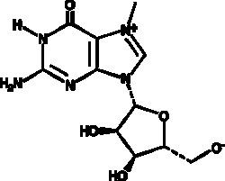 Cayman Chemical 7-MethylgunosIn 50mg