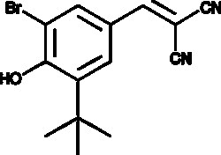 Cayman Chemical&nbsp;ANTIBODY AG-1024 1mg
