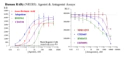 Cayman Chemical Humn RetInoIc ACD Receptr 384