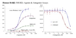 Cayman Chemical Humn RetInoIc ACD Receptr 3x32