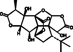 Cayman Chemical&nbsp;GInkgolIde B 10mg