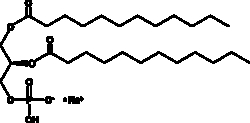 Cayman Chemical 1 2DIlauroylsnglycero3PA 500mg, Quantity: Each of 1
