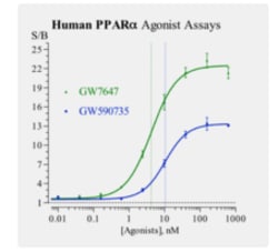 Cayman Chemical Humn PRoxIsome ProlIfRatr 3x32