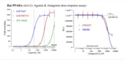 Cayman Chemical Rat PRoxIsome ProlIfRatrA 96