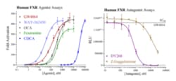 Cayman Chemical Humn FarnsoId X Receptr Re 96