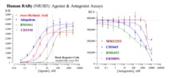 Cayman Chemical Humn RetInoIc ACD Receptr 96
