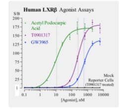 Cayman Chemical Humn LIvR X ReceptrBeta 3x32