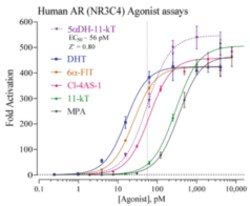 Cayman Chemical&nbsp;Humn ndrogen RECPTR Repor