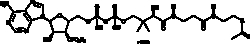 Cayman Chemical AcetylCoenzyme AsodIM sal 10mg