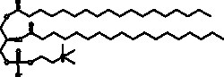 Cayman Chemical 1 2DIstearoylsnglycero3P 1g