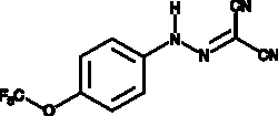 Cayman Chemical ANTIBODY FCCP 10mg