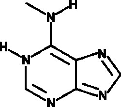 Cayman Chemical N6-MethyladenIn 100mg