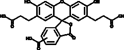 Cayman Chemical&nbsp;ANTIBODY BCECF 500ug
