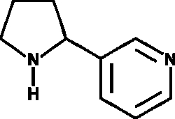 Cayman Chemical -NornIcotIn 100mg