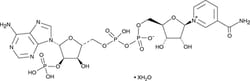 Cayman Chemical&nbsp;NADP hydrate 1g