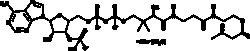 Cayman Chemical ACtoACtylCoenzyme AsodIu 10mg