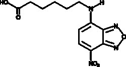 Cayman Chemical&nbsp;ANTIBODY C-6 NBD 1g