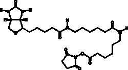Cayman Chemical&nbsp;BIotIn-LC-LC-NHS 25mg