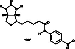 Cayman Chemical&nbsp;BIotIn 4AmIdobenzoIc AcI 25mg