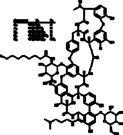 Cayman Chemical&nbsp;Dalbavncn 10mg