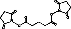 Cayman Chemical DIsuccInImIdyl Glutarate 25mg