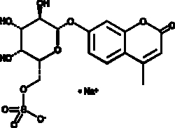 Cayman Chemical 4MethyLMbelIferyl DGala 10mg