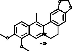 Cayman Chemical&nbsp;13-MethylberberInchlorIde 10mg