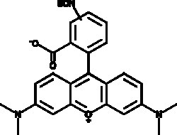 Cayman Chemical&nbsp;ttramthylrhodamIn IsoTHOc 10mg