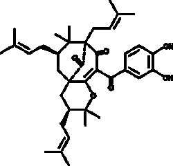 Cayman Chemical&nbsp;IsogarcInol 10mg