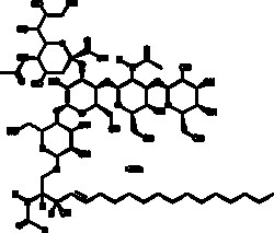 Cayman Chemical&nbsp;GnglIosIde GM1porcIn braI 10mg