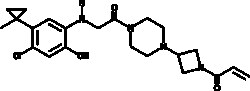Cayman Chemical&nbsp;ANTIBODY ARS853 500ug