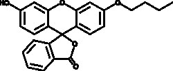 Cayman Chemical&nbsp;N-ButylfluoresceIn 10mg