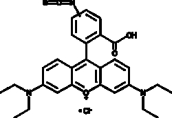 Cayman Chemical RhodamIn B IsothIocynATm 250mg