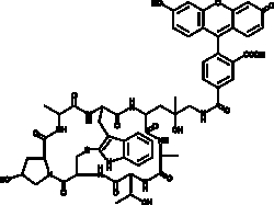 Cayman Chemical PhaloIdInFluorSceIn Conjug