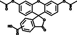 Cayman Chemical&nbsp;5 6CarboxyfluorSceIn dIAC 50mg