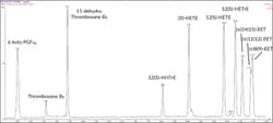 Cayman Chemical PrImary Vascular EIcosnoId M