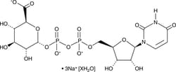 Cayman Chemical&nbsp;UDPGlucuronIc AcIdodIum s 10mg