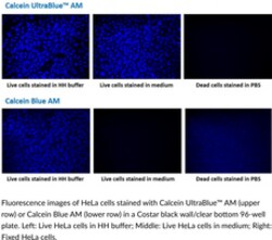 Cayman Chemical&nbsp;CalceIn UltraBlueAM 50ug